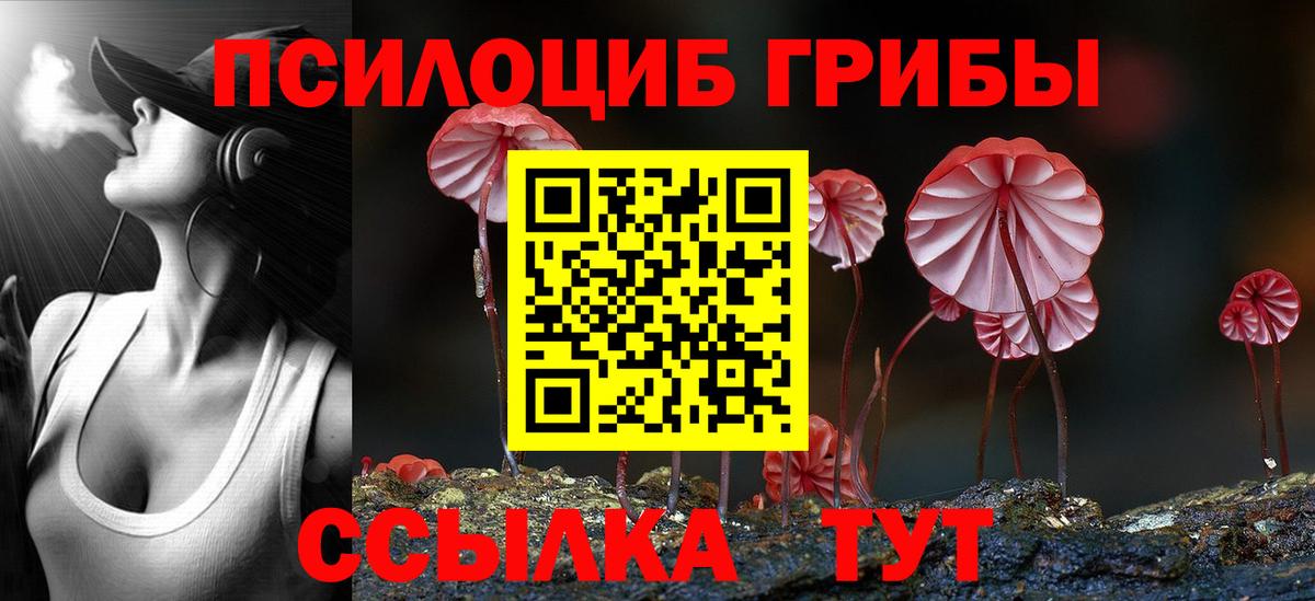 Галлюциногенные грибы мицелий Шарыпово